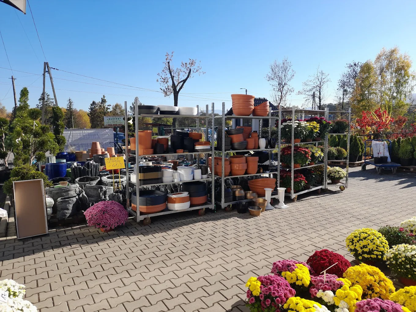 Przestrzeń wystawowa z kwiatami